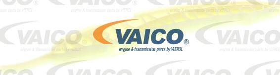 VAICO V20-3144 - Планка заспокоювача, ланцюг приводу autocars.com.ua