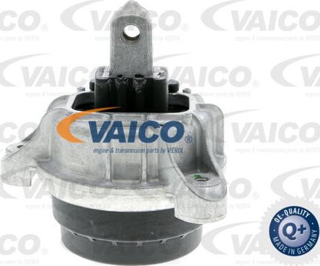 VAICO V20-3237 - Подушка, підвіска двигуна autocars.com.ua