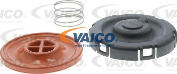 VAICO V20-3341 - Клапан, відведення повітря з картера autocars.com.ua