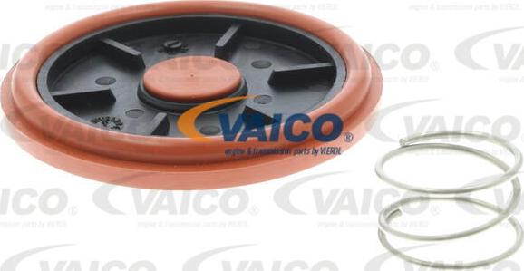 VAICO V20-3344 - Клапан, отвода воздуха из картера avtokuzovplus.com.ua