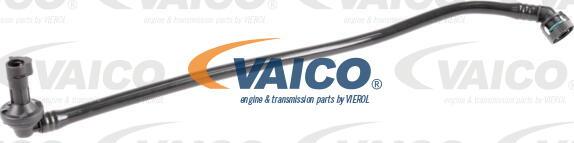 VAICO V20-3580 - Шланг, вентиляція картера autocars.com.ua