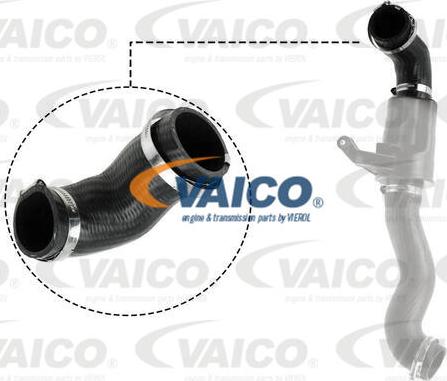 VAICO V20-3626 - Шланг радіатора autocars.com.ua
