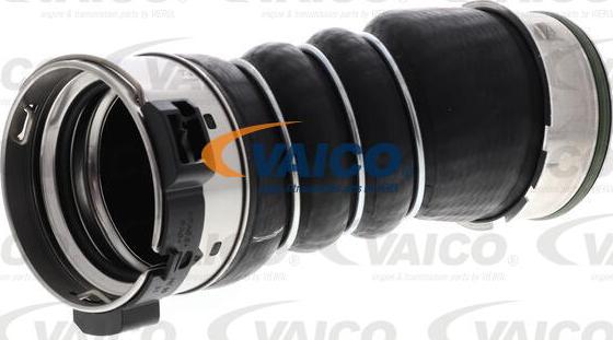 VAICO V20-3656 - Трубка, нагнетание воздуха avtokuzovplus.com.ua