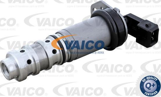 VAICO V20-3665 - Регулюючий клапан, виставлення розподільного вала autocars.com.ua