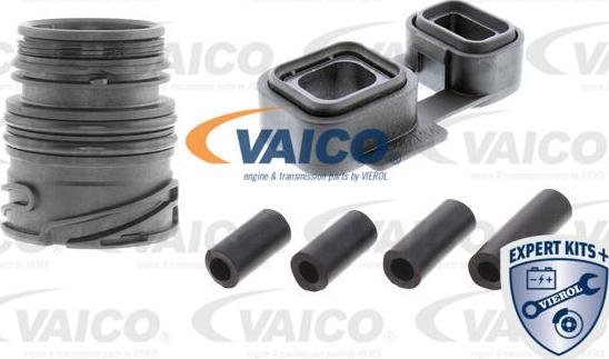 VAICO V20-3770-XXL - Комплект прокладок, автоматическая коробка autodnr.net