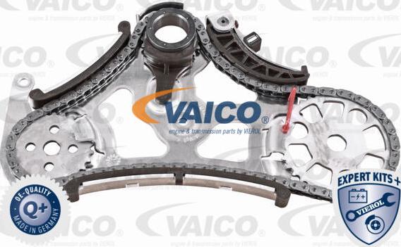 VAICO V20-3918 - Комплект ланцюга, привід масляного насоса autocars.com.ua