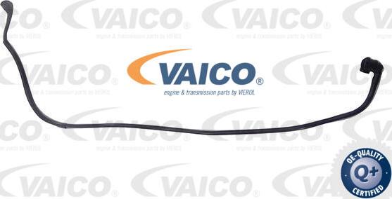 VAICO V20-4352 - Шланг радиатора avtokuzovplus.com.ua