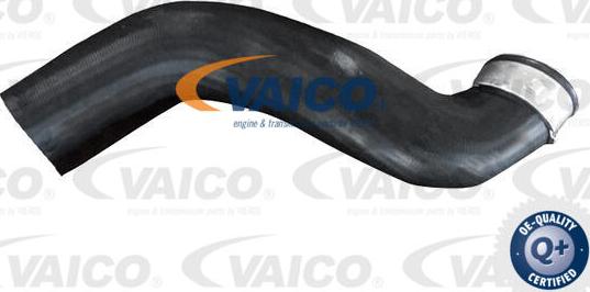 VAICO V20-4355 - Трубка нагнітається повітря autocars.com.ua