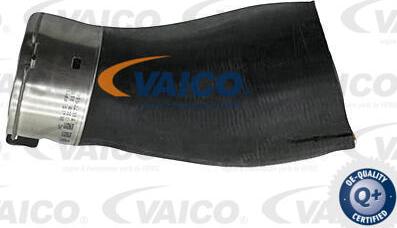 VAICO V20-4368 - Трубка нагнітається повітря autocars.com.ua