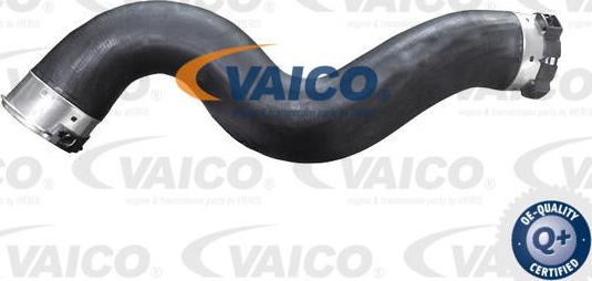 VAICO V20-4369 - Трубка нагнітається повітря autocars.com.ua