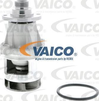 VAICO V20-50013 - Водяной насос avtokuzovplus.com.ua