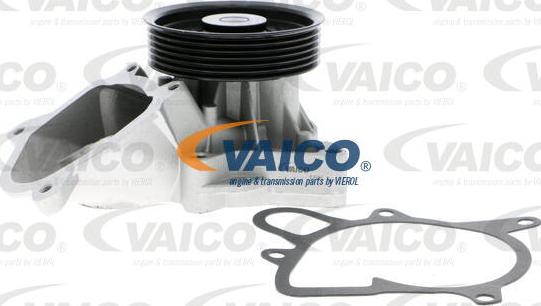 Vaico V20-50035 - Водяной насос avtokuzovplus.com.ua