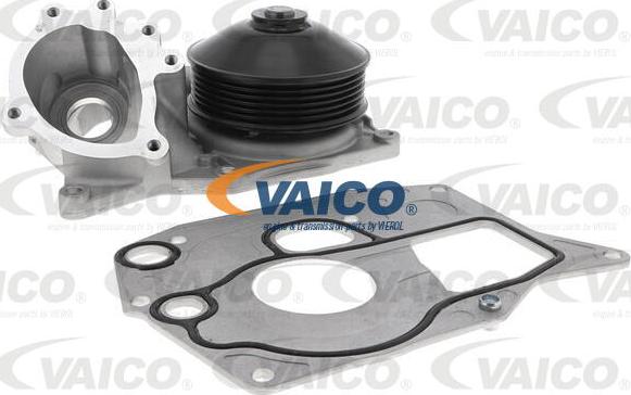 VAICO V20-50066 - Водяной насос avtokuzovplus.com.ua