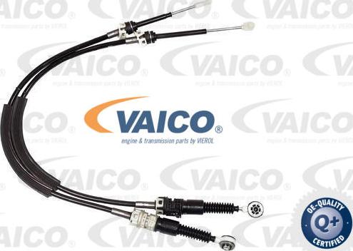 VAICO V21-0065 - Трос, ступінчаста коробка передач autocars.com.ua