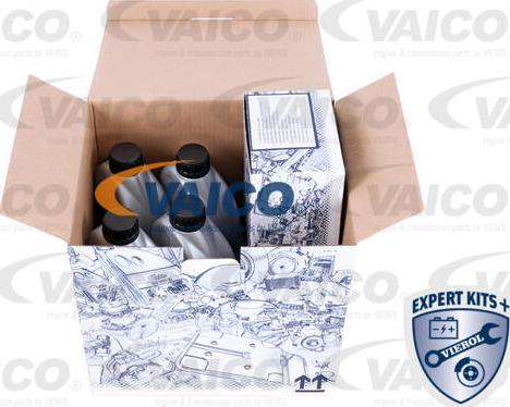VAICO V22-0886 - Комплект ременя ГРМ autocars.com.ua