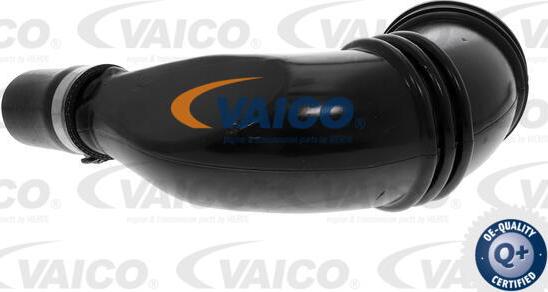 VAICO V22-1098 - Трубка нагнітається повітря autocars.com.ua