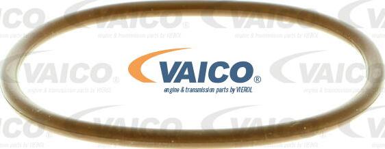 VAICO V24-0021 - Масляний фільтр autocars.com.ua