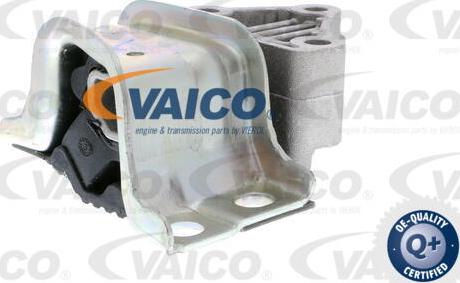 VAICO V24-0551 - Подушка, опора, подвеска двигателя avtokuzovplus.com.ua