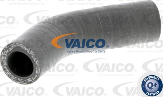 VAICO V24-0631 - Трубка нагнітається повітря autocars.com.ua