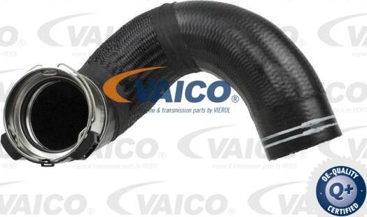 VAICO V24-0676 - Трубка нагнітається повітря autocars.com.ua