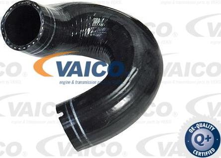 VAICO V24-0702 - Трубка нагнітається повітря autocars.com.ua