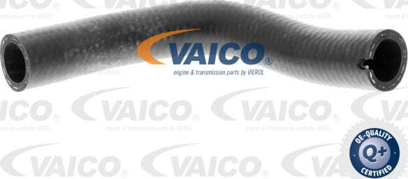 VAICO V24-0728 - Трубка нагнітається повітря autocars.com.ua