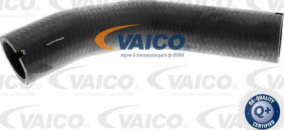 VAICO V24-0733 - Трубка нагнітається повітря autocars.com.ua