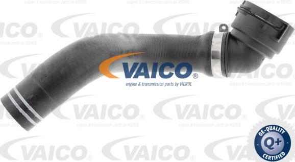 VAICO V24-0835 - Шланг радіатора autocars.com.ua