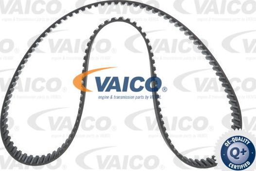 VAICO V24-0991 - Ремінь ГРМ autocars.com.ua