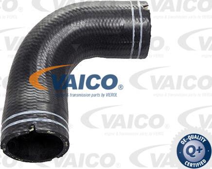 VAICO V24-1063 - Шланг, вентиляція картера autocars.com.ua