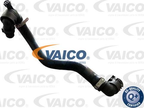 VAICO V24-1274 - Шланг радіатора autocars.com.ua