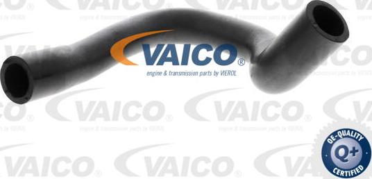 VAICO V24-1291 - Шланг, вентиляція картера autocars.com.ua