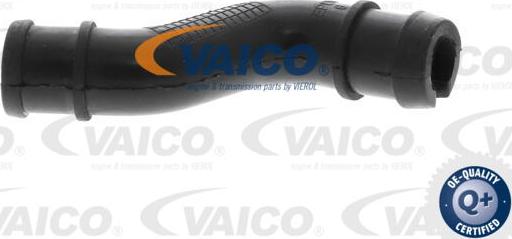 VAICO V24-1293 - Шланг, вентиляція картера autocars.com.ua