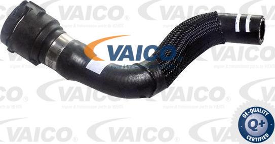 VAICO V24-1295 - Шланг, теплообмінник - опалення autocars.com.ua