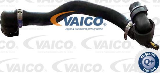 VAICO V24-1298 - Шланг, теплообмінник - опалення autocars.com.ua