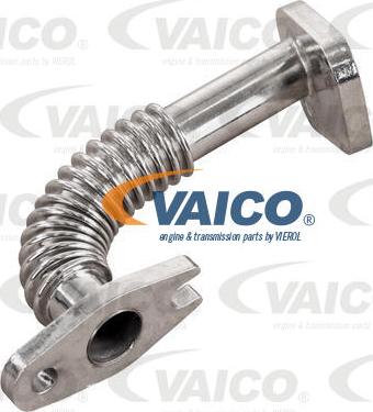 VAICO V24-1344 - Маслопровод, компресор autocars.com.ua