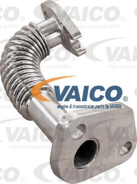 VAICO V24-1344 - Маслопровод, компресор autocars.com.ua