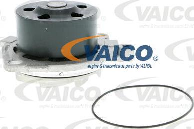 VAICO V24-50016 - Водяной насос avtokuzovplus.com.ua