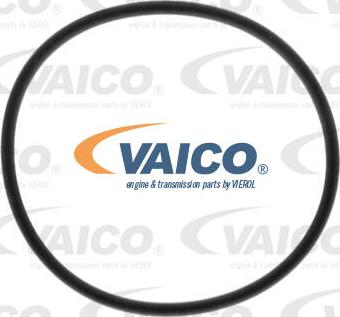 VAICO V24-7191 - Масляний фільтр autocars.com.ua