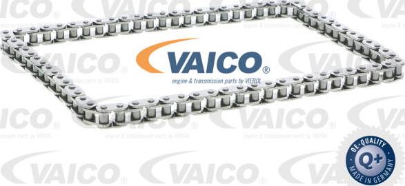 VAICO V25-0818 - Ланцюг, привід маслонасоса autocars.com.ua
