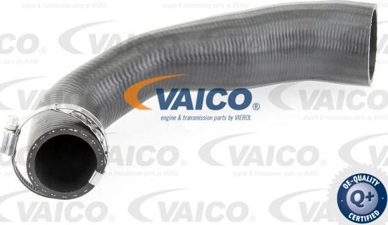 VAICO V250947 - Трубка, нагнетание воздуха autodnr.net