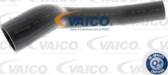 VAICO V25-0948 - Трубка, нагнетание воздуха avtokuzovplus.com.ua