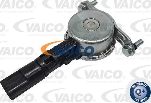 VAICO V25-0984 - Регулирующий клапан, выставление распределительного вала avtokuzovplus.com.ua