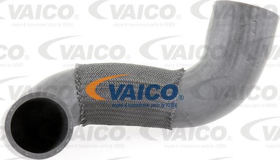 VAICO V25-0988 - Трубка, нагнетание воздуха avtokuzovplus.com.ua