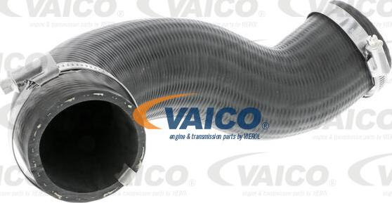 VAICO V25-0989 - Трубка нагнітається повітря autocars.com.ua