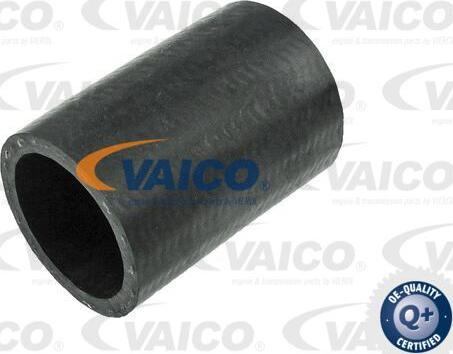 VAICO V25-1013 - Трубка, нагнетание воздуха autodnr.net