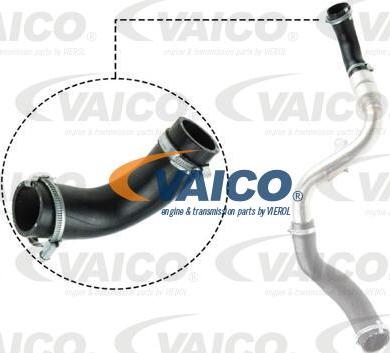 VAICO V25-1023 - Трубка нагнітається повітря autocars.com.ua