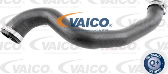 VAICO V25-1028 - Трубка нагнітається повітря autocars.com.ua