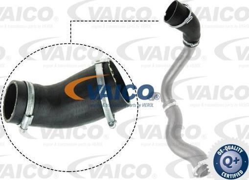 VAICO V25-1029 - Трубка, нагнетание воздуха autodnr.net