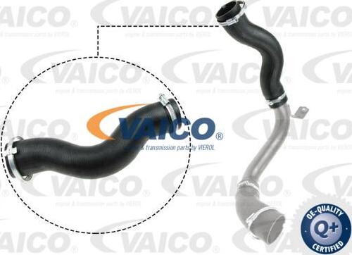 VAICO V25-1030 - Трубка, нагнетание воздуха autodnr.net